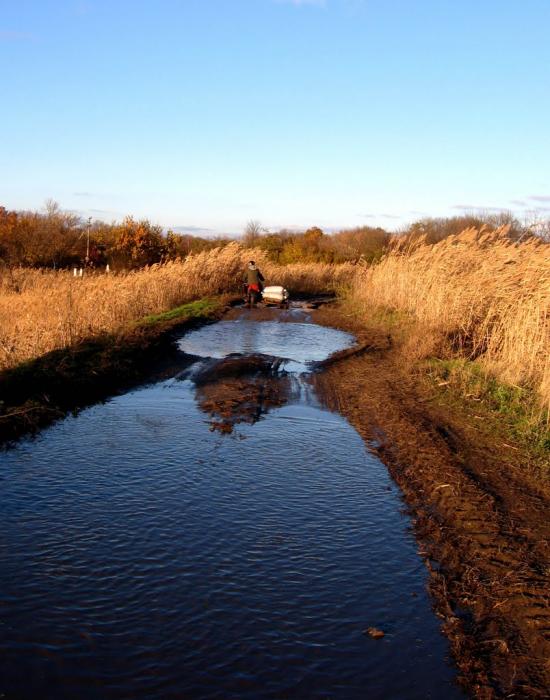 Шахтарське з panoramio.com - Шахтарське