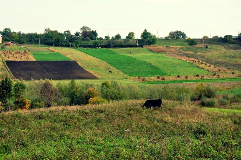 Грушівка з panoramio.com - Grushivka