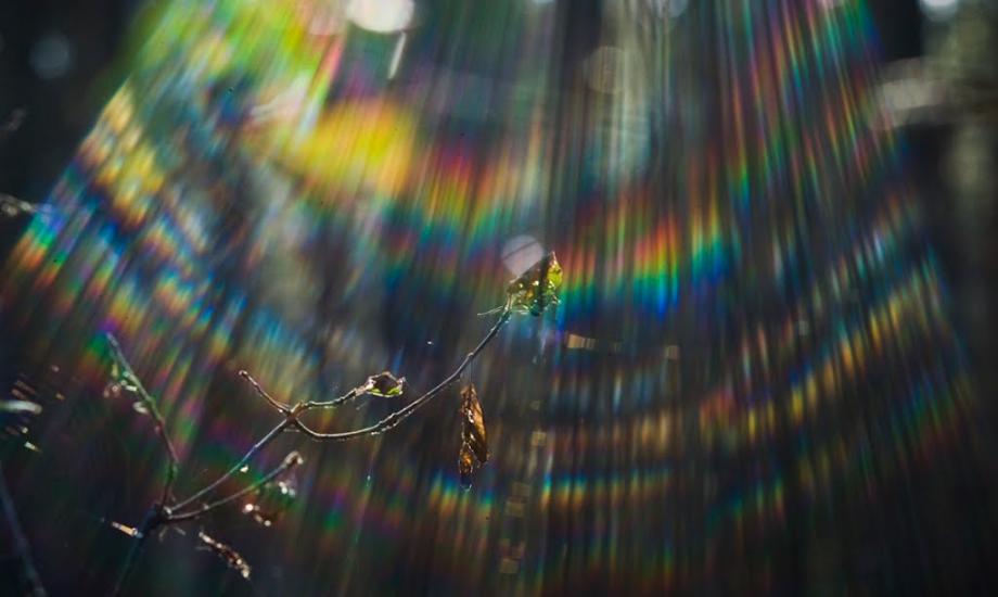 Феневичі з panoramio.com - Феневичи