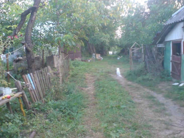 Лисогірка з panoramio.com - Лисогірка