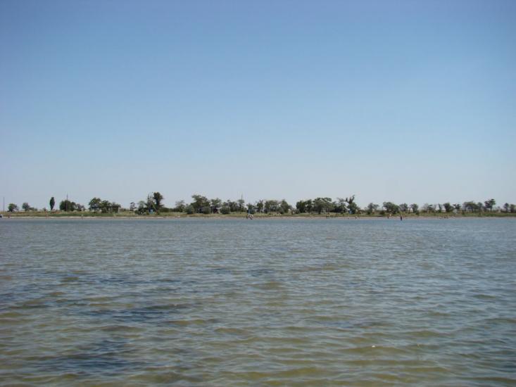 Волошине з panoramio.com - Волошине