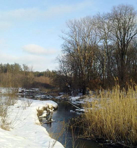 Торське з panoramio.com - Торське