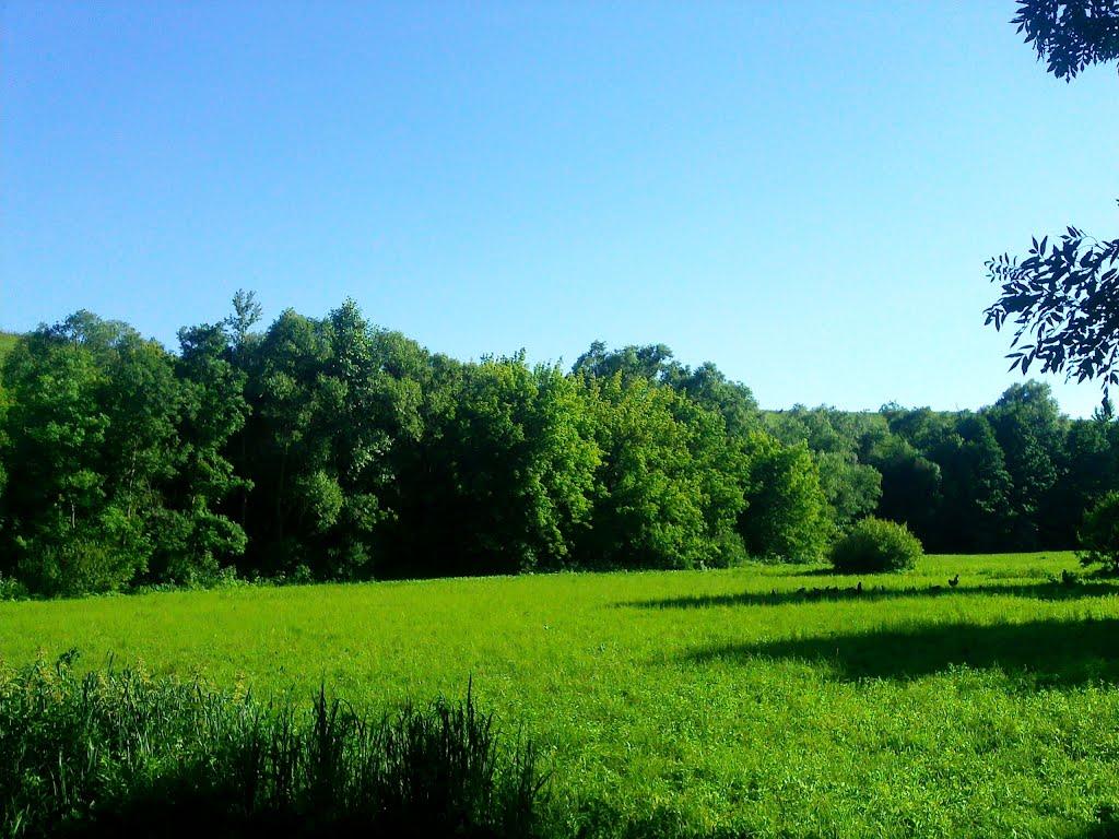 Тарноруда з panoramio.com - Тарноруда