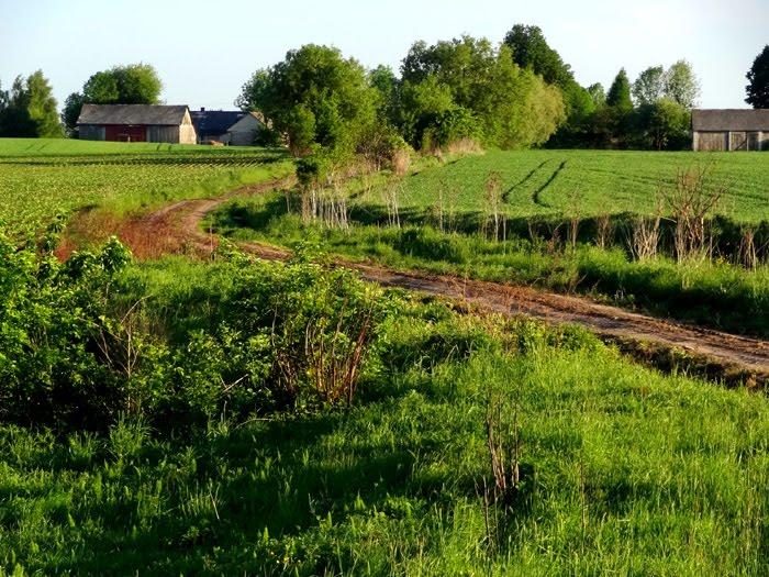 Корчів з panoramio.com - Корчев