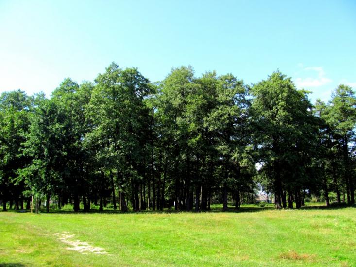 Острівці з panoramio.com - Острівці