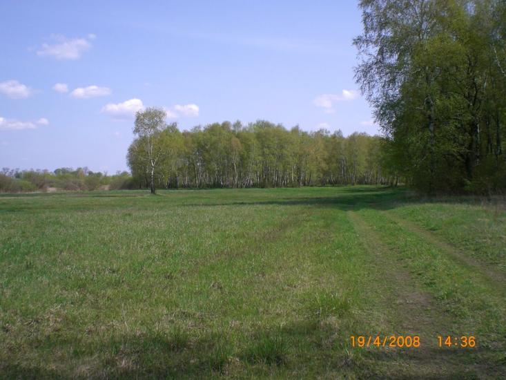 Гельмязів з panoramio.com - Гельмязів