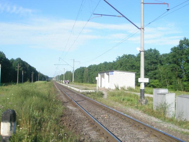 Бондарівка з panoramio.com - Бондарівка