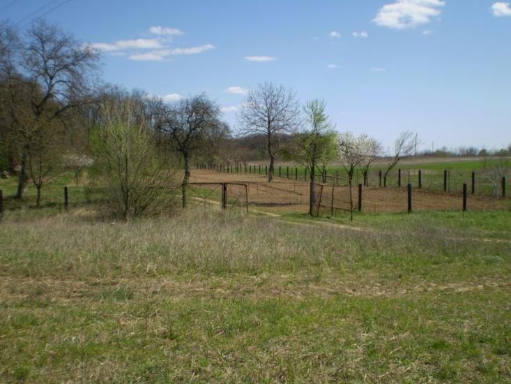 Дийда з panoramio.com - Дийда