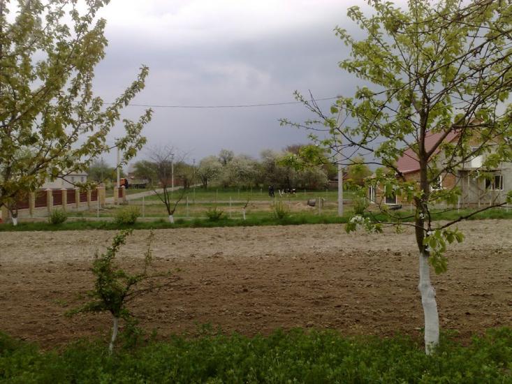 Борохів з panoramio.com - Борохів