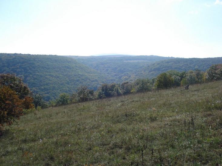 Овражки з panoramio.com - Овражки