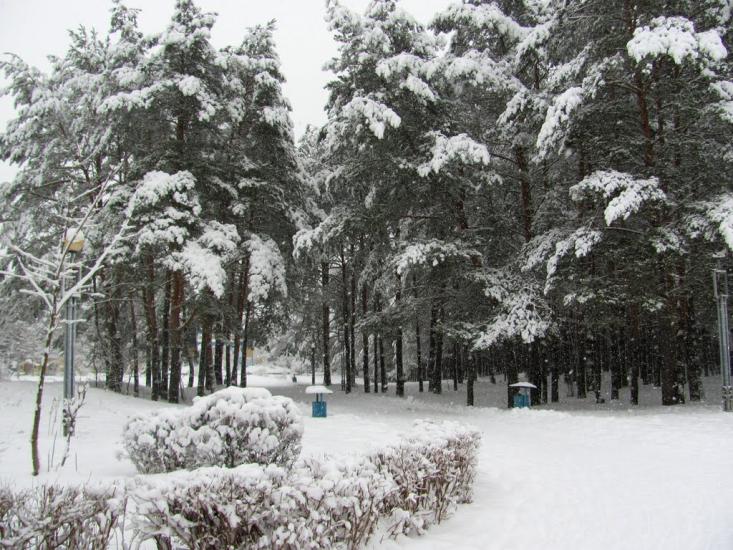 Кузнецовськ з panoramio.com - Varash