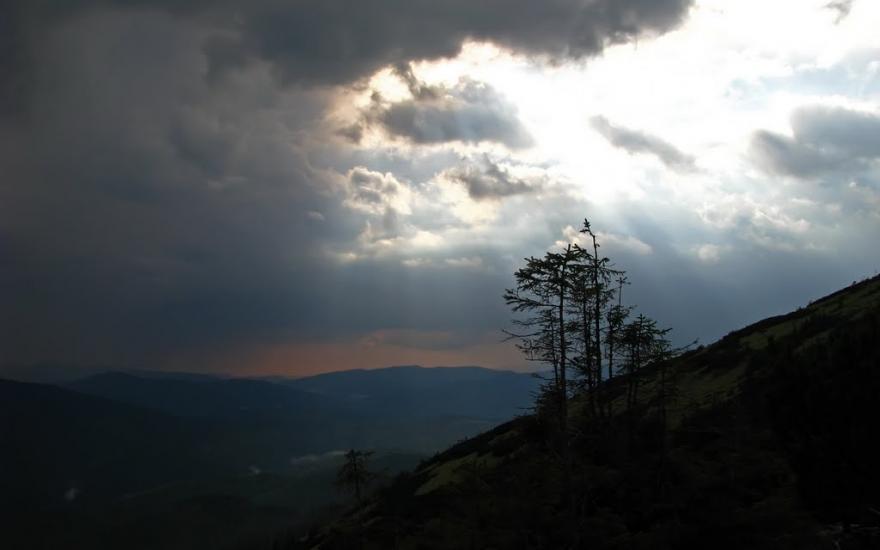 Осмолода з panoramio.com (ч.2) - Осмолода