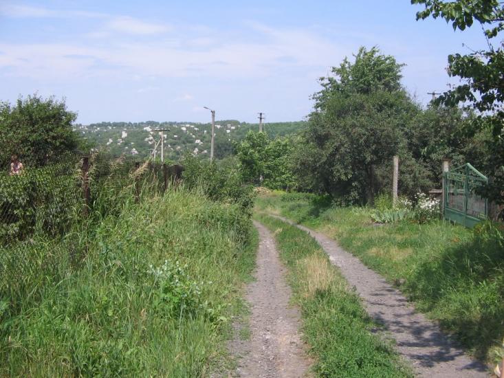 Шестакове з panoramio.com - Шестакове
