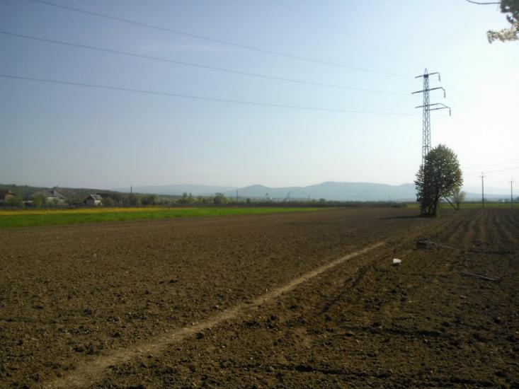 Ракошино з panoramio.com - Ракошино