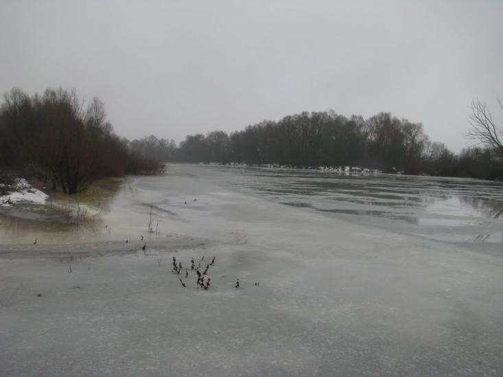Миси з panoramio.com - Mysy