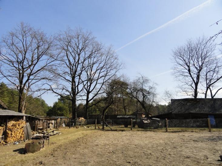 Хрипськ з panoramio.com - Хрипск