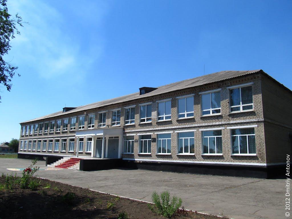 Рози Люксембург з panoramio.com - Гречани Поды
