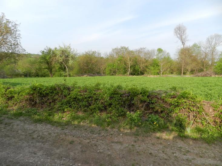 Борсуки з panoramio.com - Борсуки