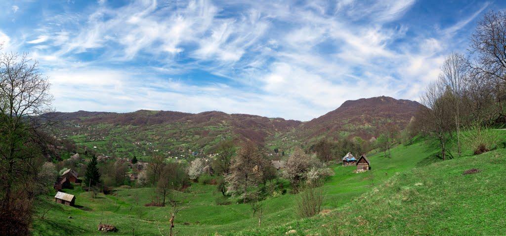 Косівська Поляна з panoramio.com - Косівська Поляна