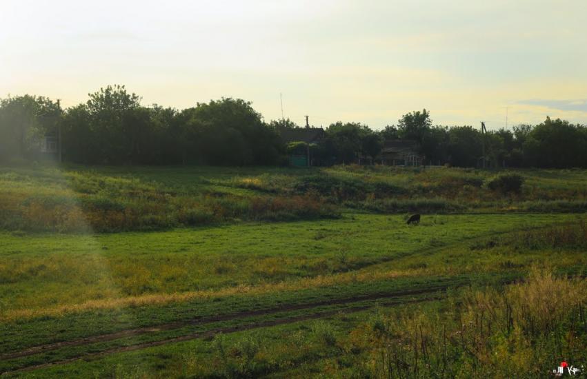Раухівка з panoramio.com - Рауховка