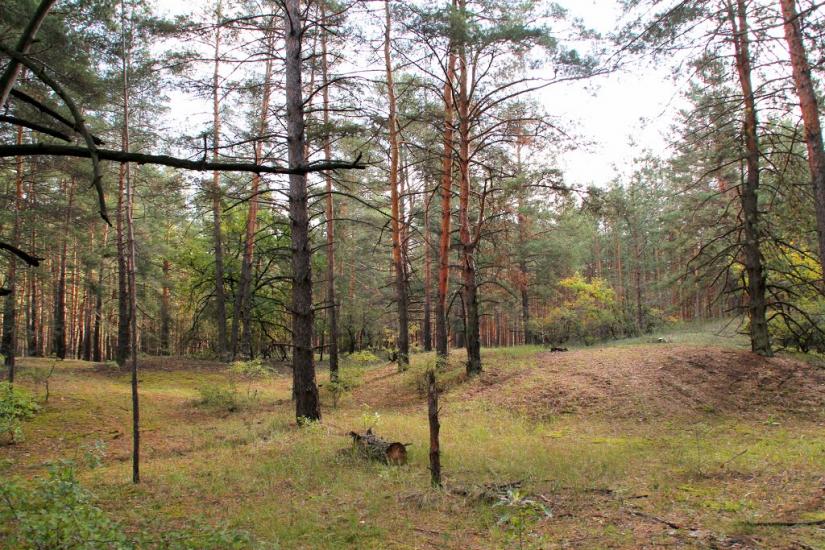 Ямпіль з panoramio.com - Ямполь