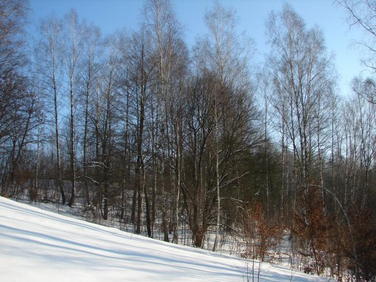 Мохначі з panoramio.com - Мохначі