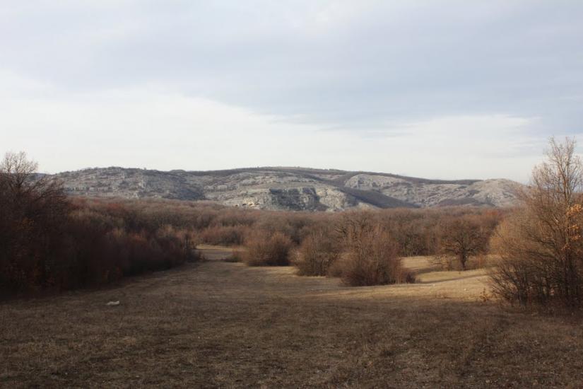 Пчолине з panoramio.com - Пчелиное