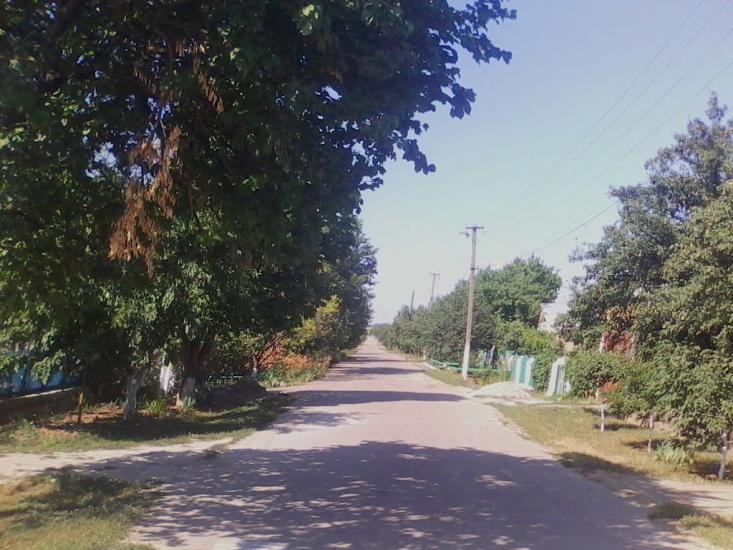 Новотимофіївка з panoramio.com - Новотимофіївка