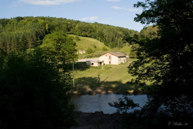 Голозубинці з panoramio.com - Голозубинцы