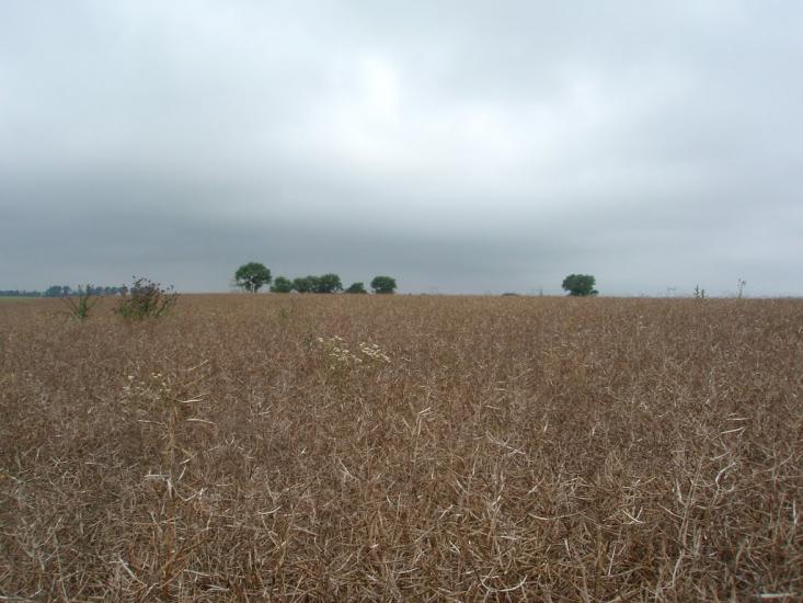 Лучківці з panoramio.com - Лучківці