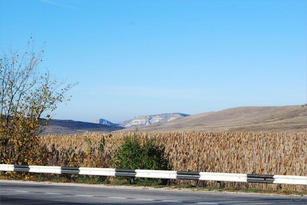 Черемисівка з panoramio.com - Черемисівка