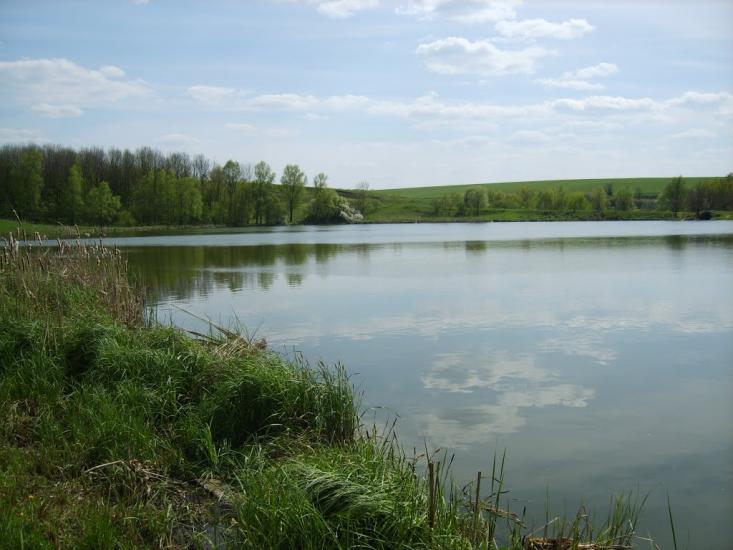 Вікнине з panoramio.com - Вікнине