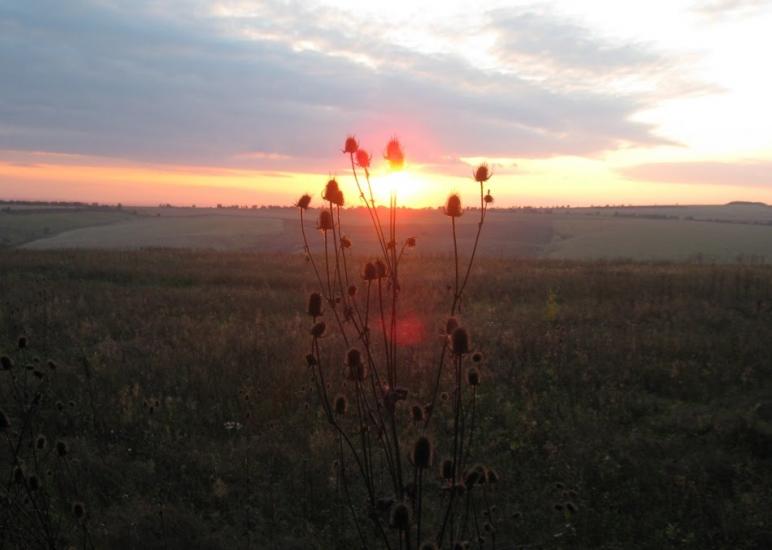 Селище з panoramio.com - Селище