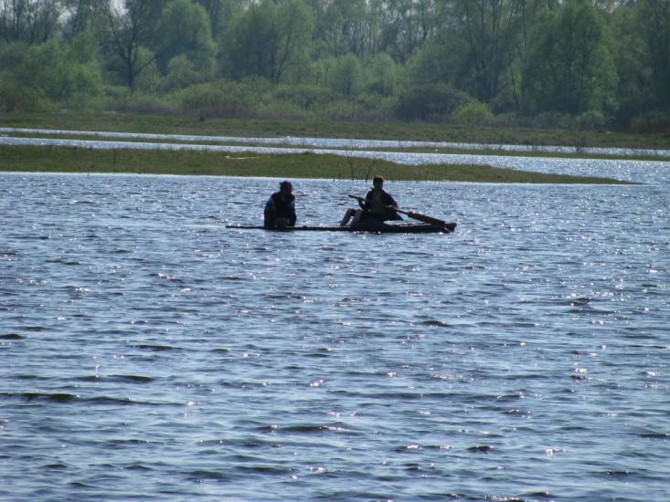 Миси з panoramio.com - Mysy