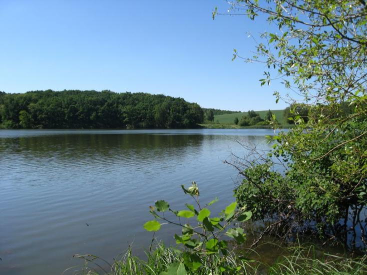 Северинівка з panoramio.com - Северинівка