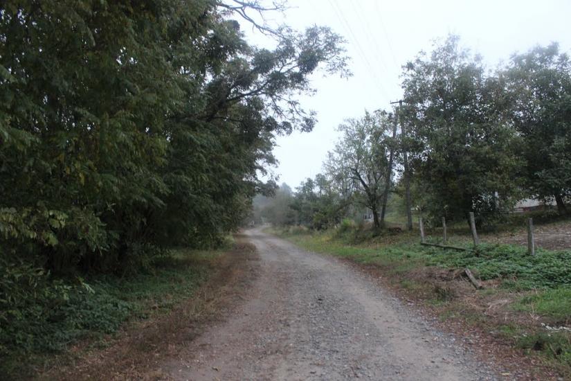 Червоні Яри з panoramio.com - Червоні Яри