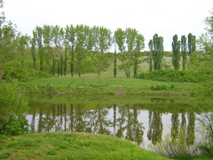 Калінінське з panoramio.com - Калининское