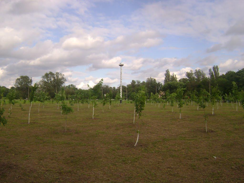 Нові Санжари з panoramio.com - Новые Санжары