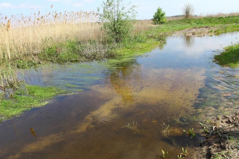 Малий Орчик з panoramio.com - Малий Орчик