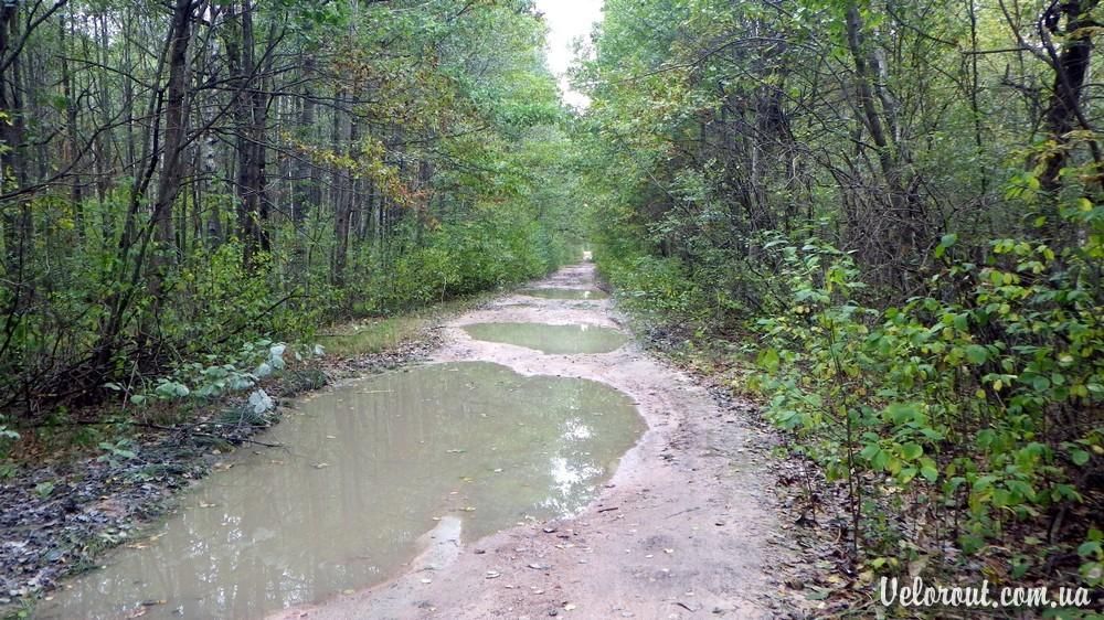 Рокитне з panoramio.com - Рокитне