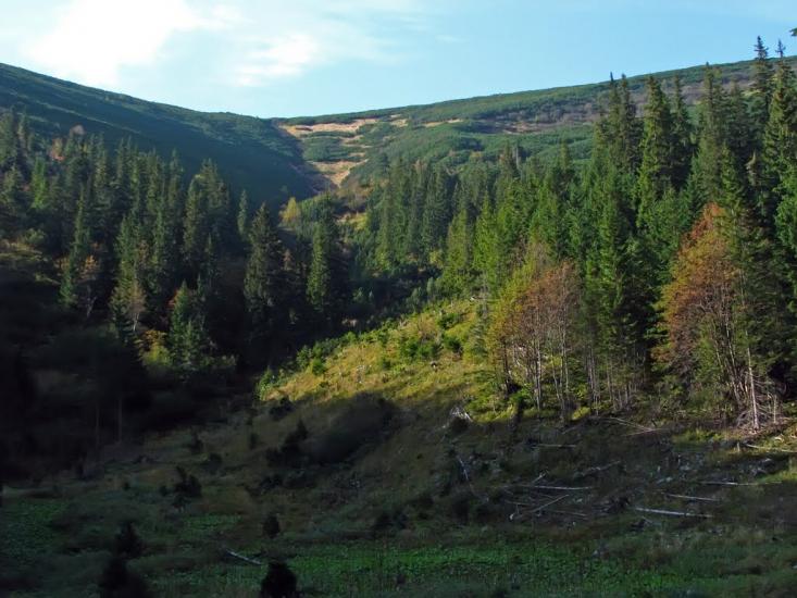 Осмолода з panoramio.com (ч.2) - Осмолода