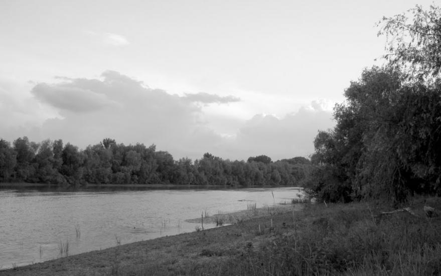 Кислиця з panoramio.com - Кислица