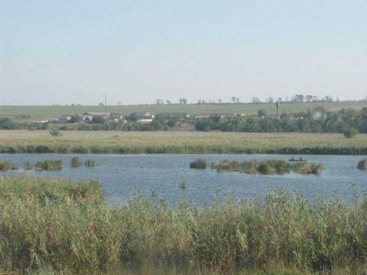 Дар'ївка з panoramio.com - Дар'ївка