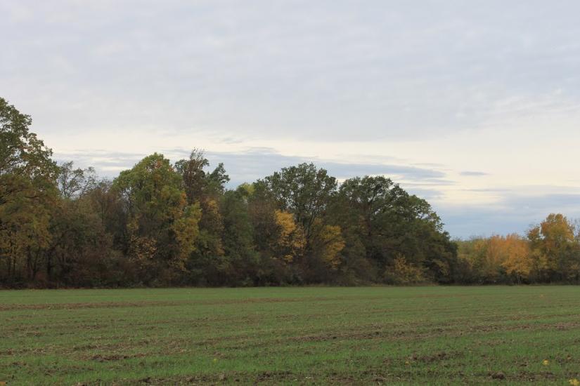 Тисобикень з panoramio.com - Тисобикень