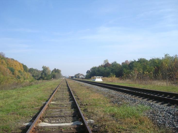 Лісоводи з panoramio.com - Лісоводи