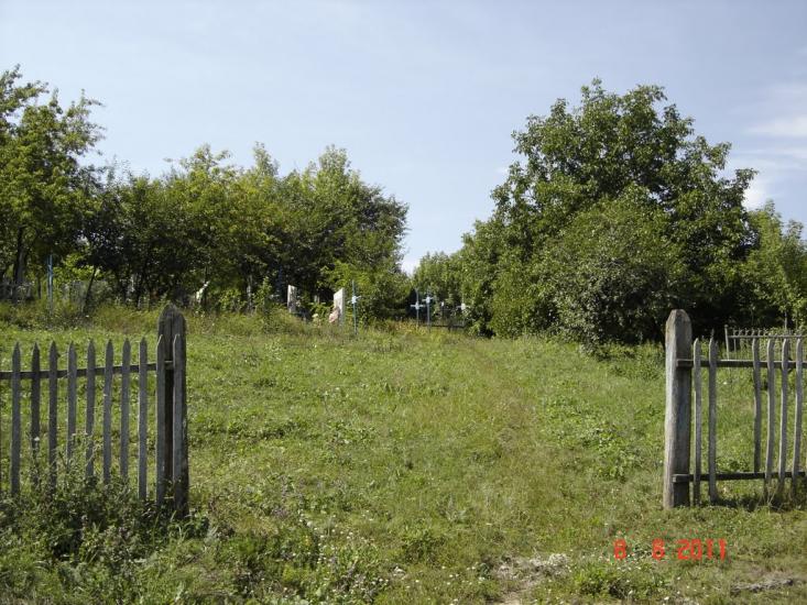 Дібрівка з panoramio.com - Дібрівка