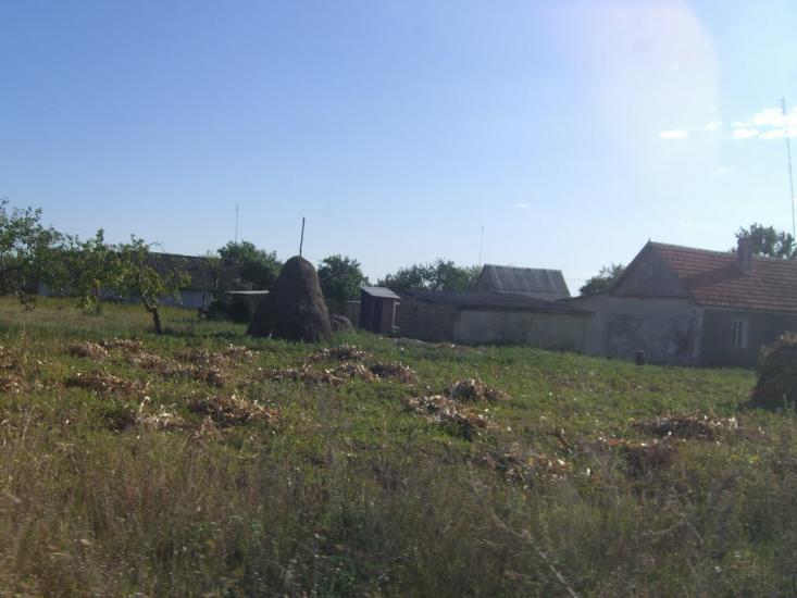 Василівка з panoramio.com - Василівка