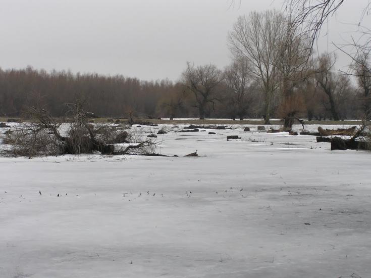 Кислиця з panoramio.com - Кислиця