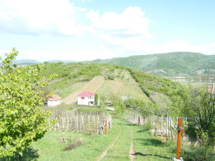 Оклі Гедь з panoramio.com - Окли Гедь