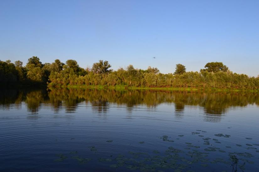 Шестовиця з panoramio.com - Шестовица